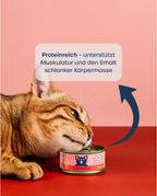 10er-Vorteilspaket – Adult Vielfalt