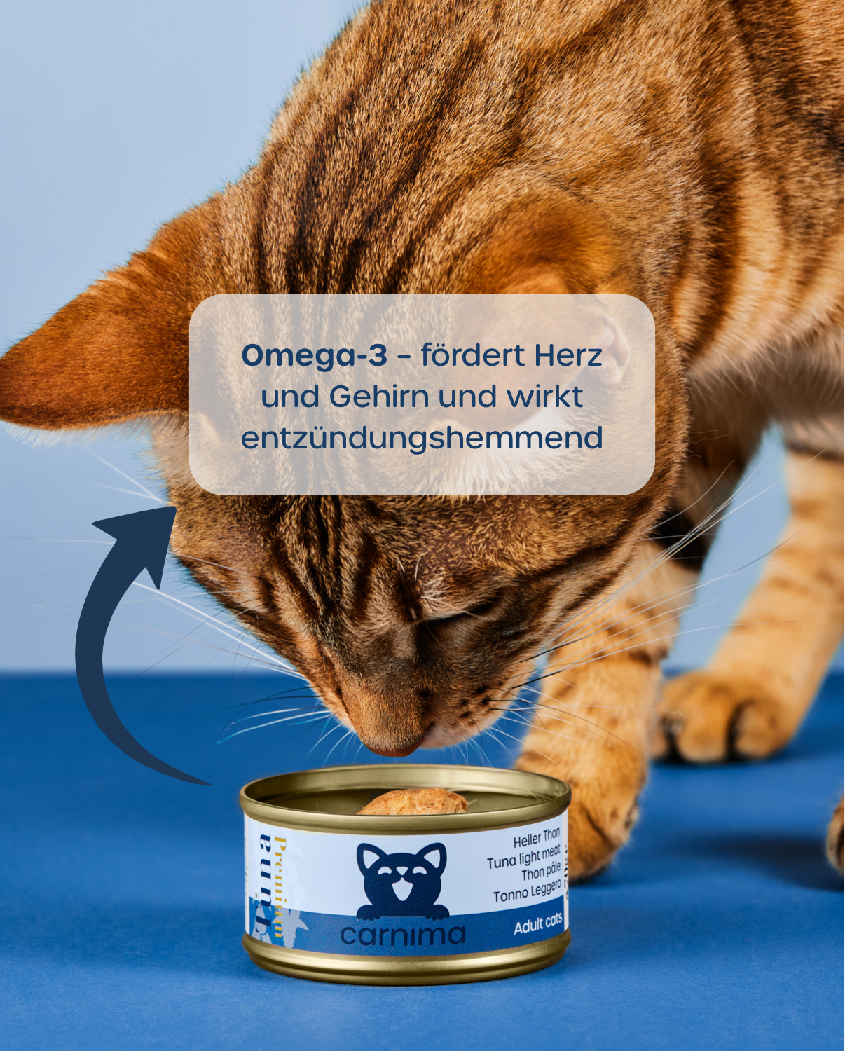 10er-Vorteilspaket – Adult Vielfalt