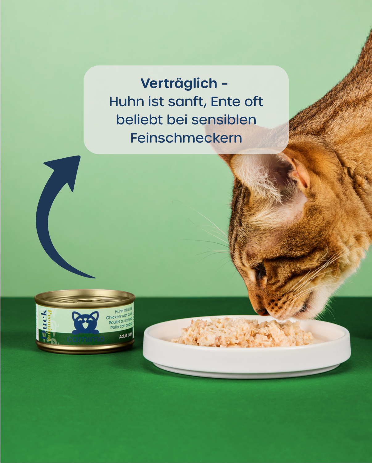 6er-Vorteilspaket – Adult Huhn & Ente