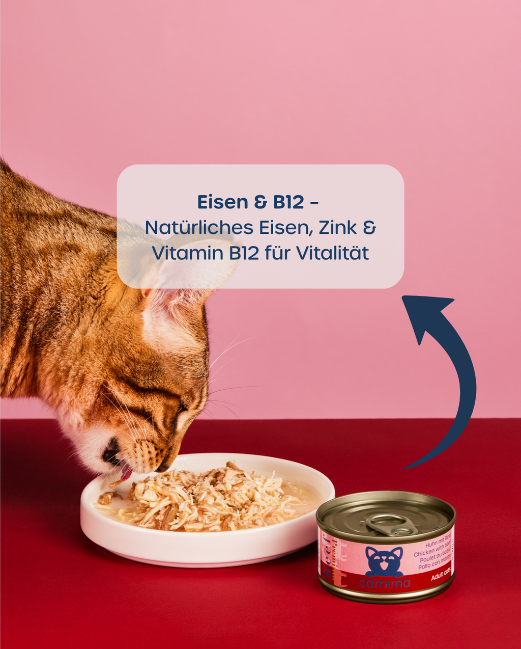 6er-Vorteilspaket – Adult Huhn & Rind