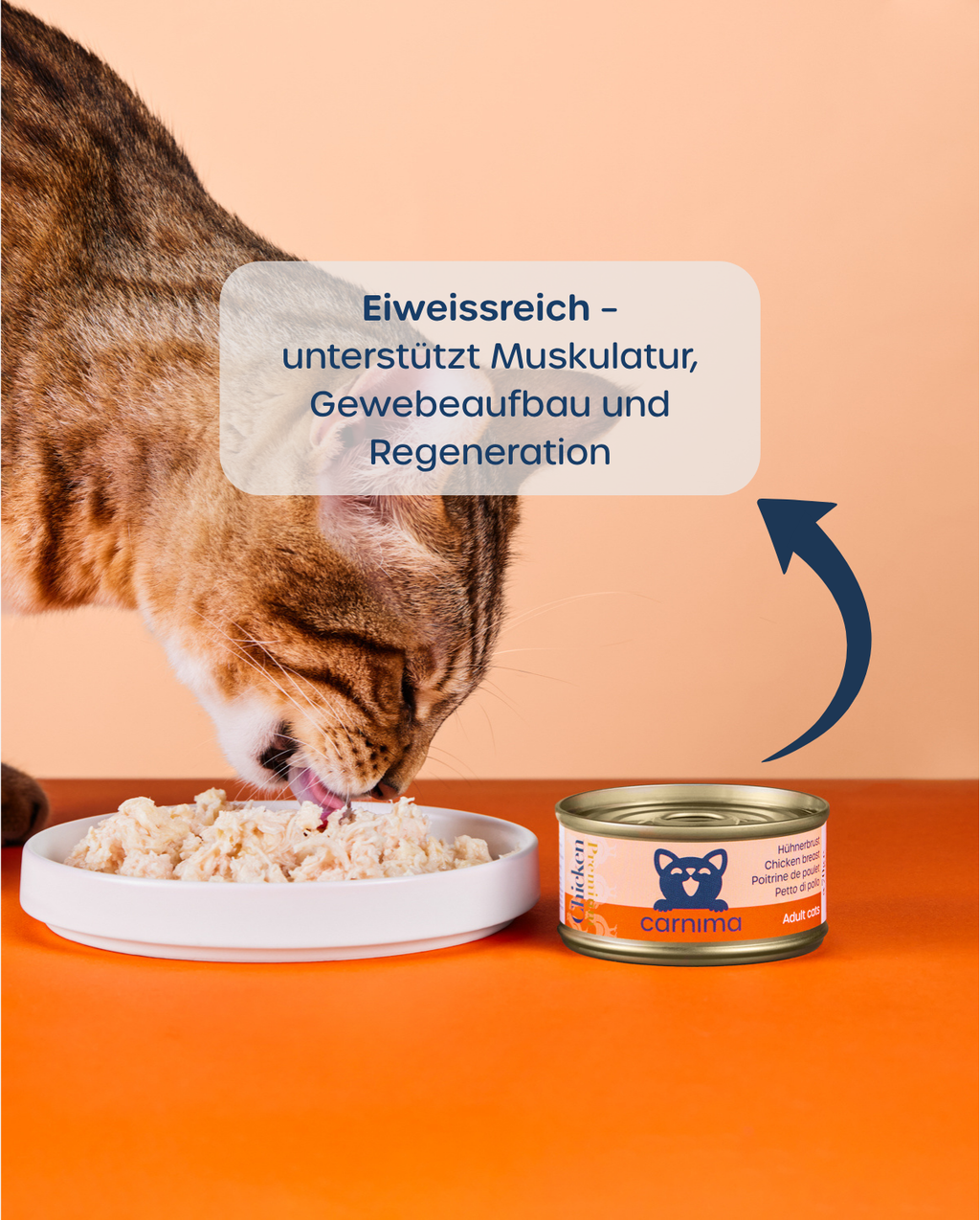 6er-Vorteilspaket – Adult Huhn & Thunfisch