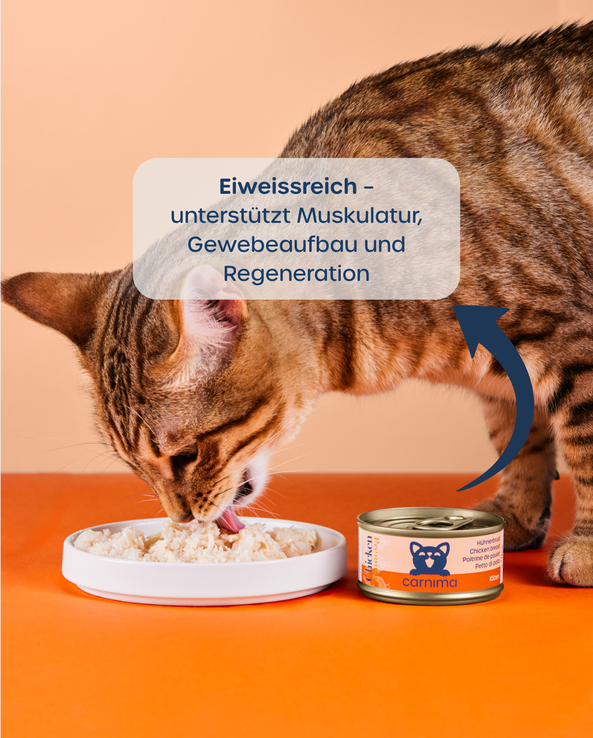 6er-Vorteilspaket – Kitten Hühnerbrust & Thunfisch