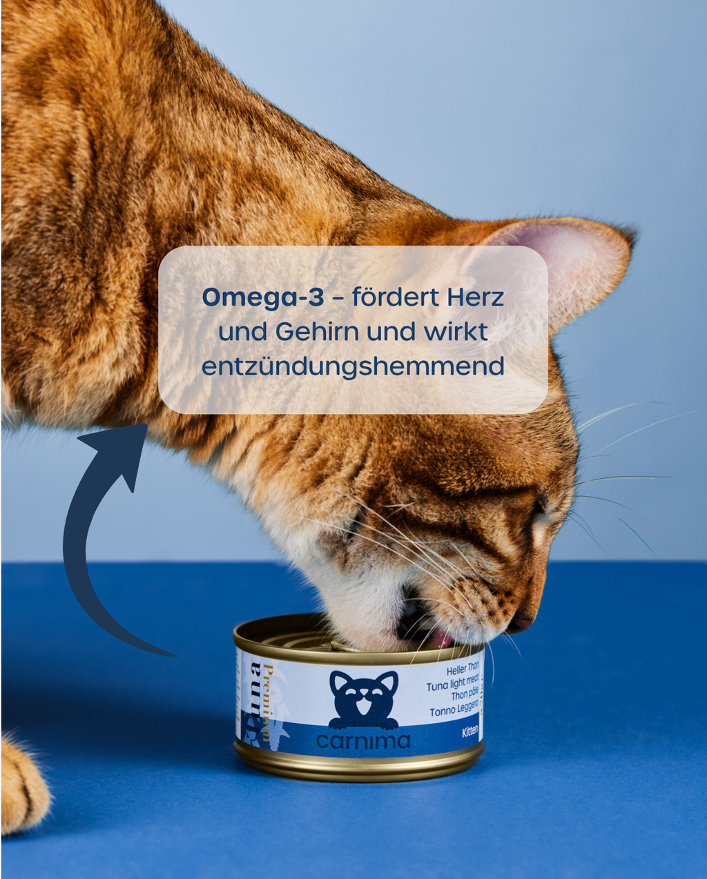 6er-Vorteilspaket – Kitten Hühnerbrust & Thunfisch
