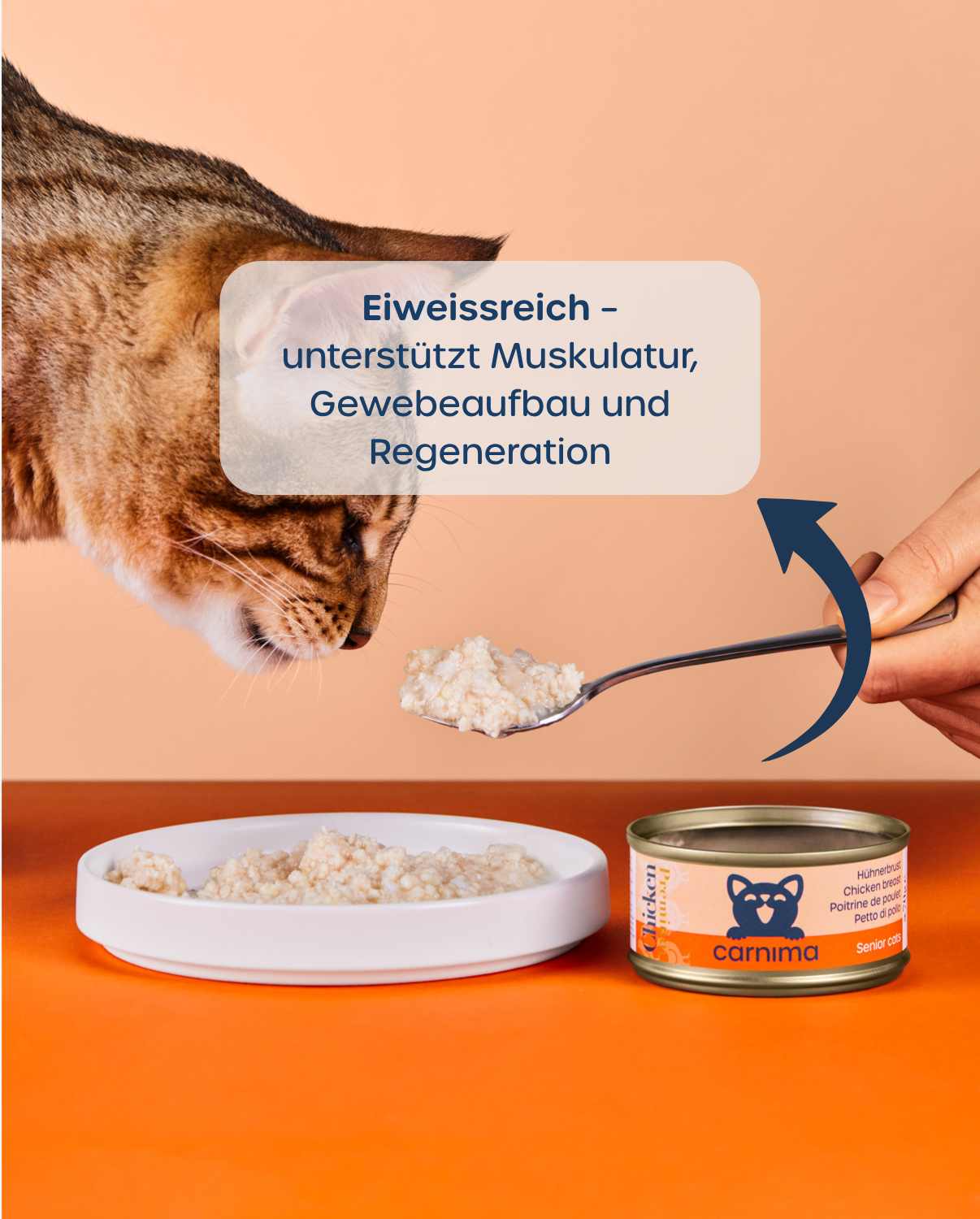 6er-Vorteilspaket – Senior Hühnerbrust & Thunfisch-Lachs
