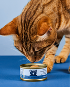 THUNFISCHFILET IN FISCHSÜD FÜR ERWACHSENE KATZEN