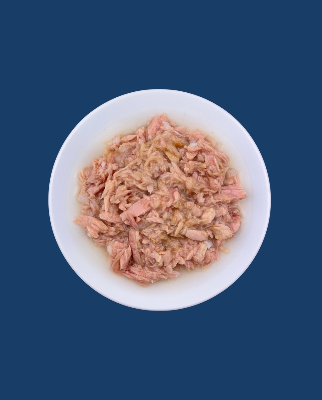 THUNFISCHFILET IN FISCHSÜD FÜR ERWACHSENE KATZEN