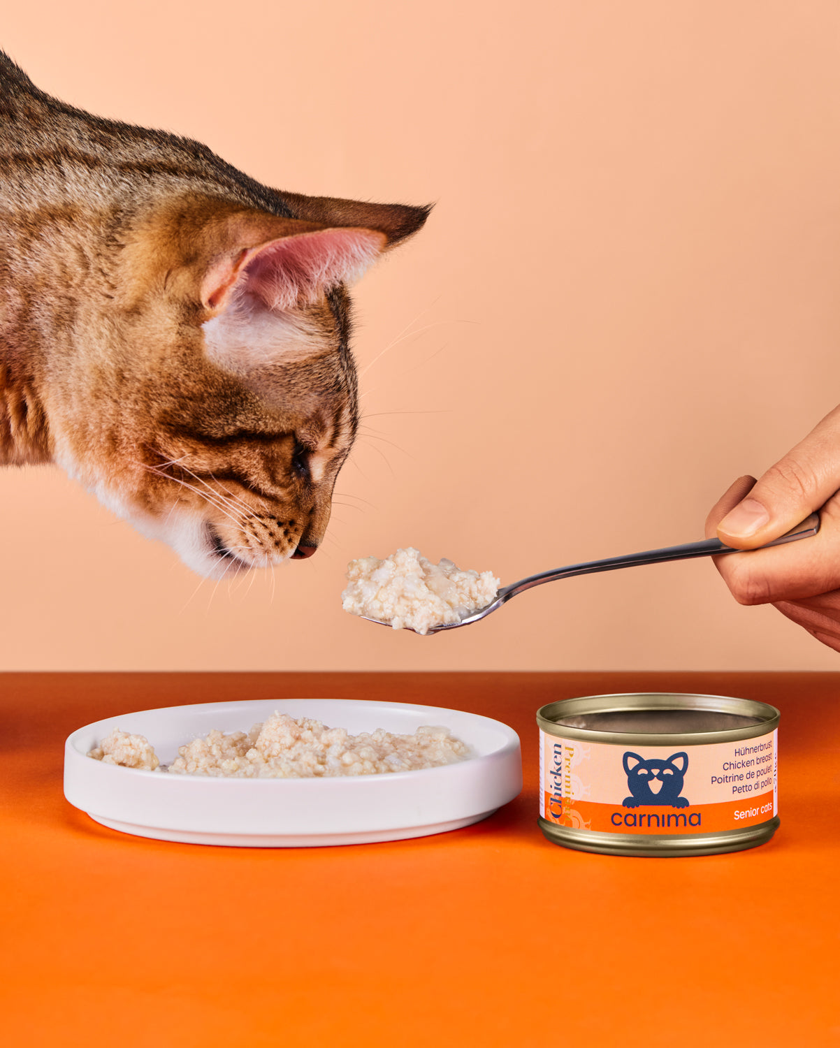 Hühnerbrust in Gelee für Senior-Katzen