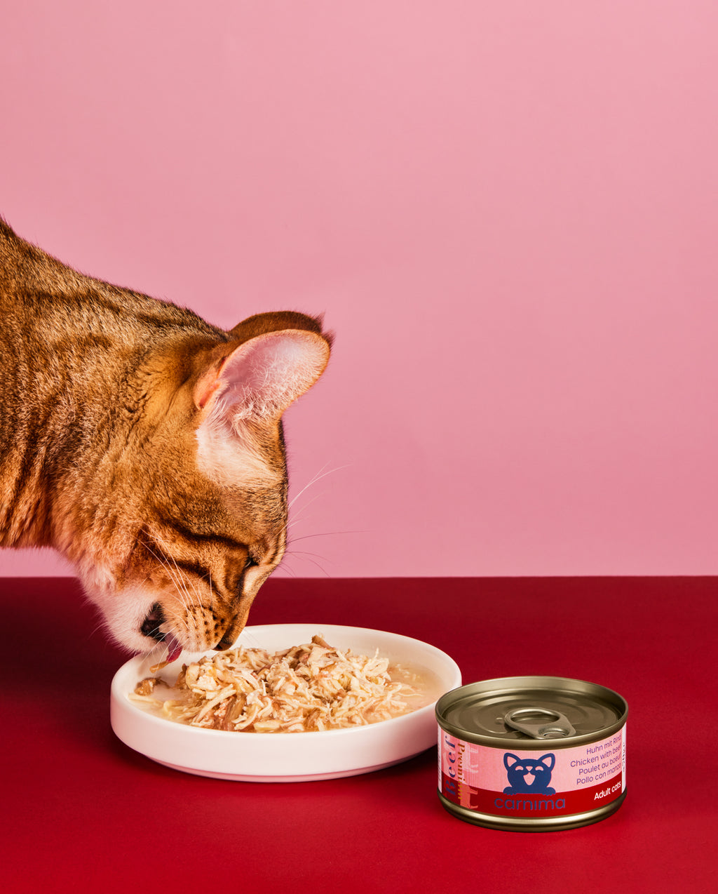 Hühnerbrust mit Rind in Sauce für erwachsene Katzen