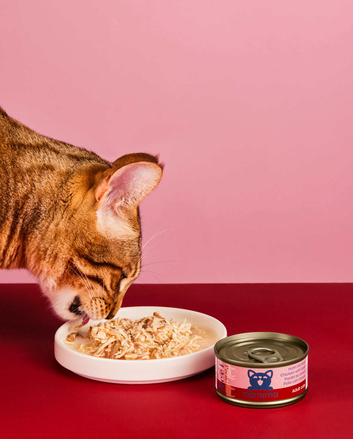 Hühnerbrust mit Rind in Sauce für erwachsene Katzen