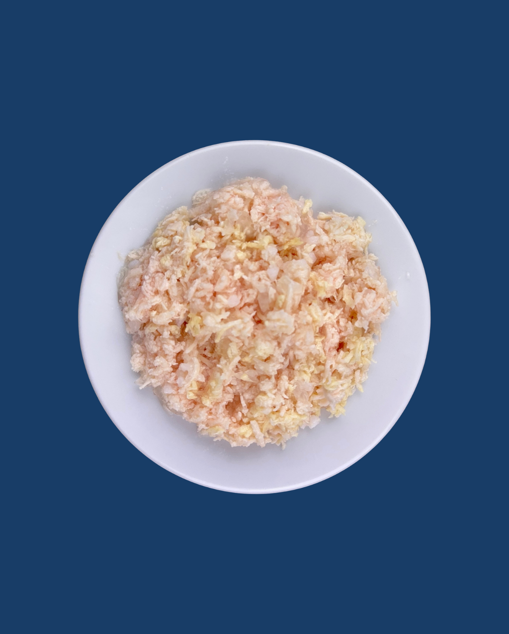 HÜHNERBRUST IN GELEE FÜR KÄTZCHEN