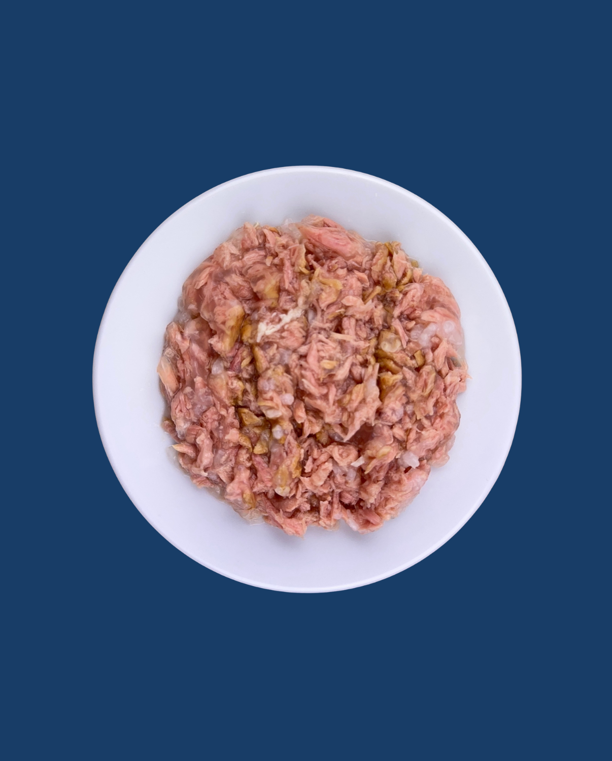 THUNFISCHFILET IN GELEE FÜR KÄTZCHEN