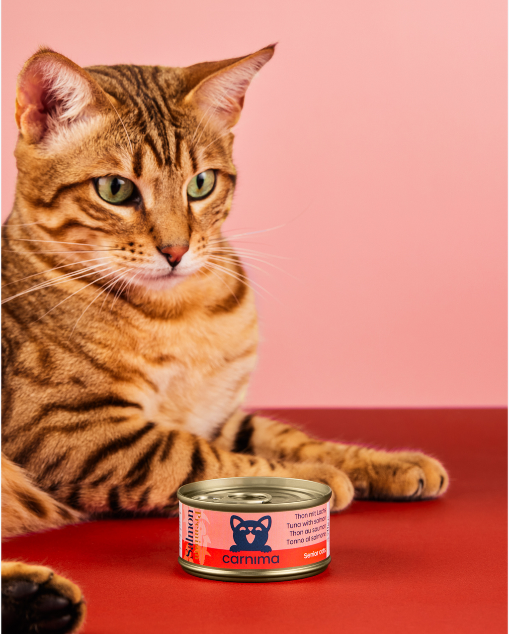 THUNFISCHFILET MIT LACHS IN GELEE FÜR SENIOR-KATZEN